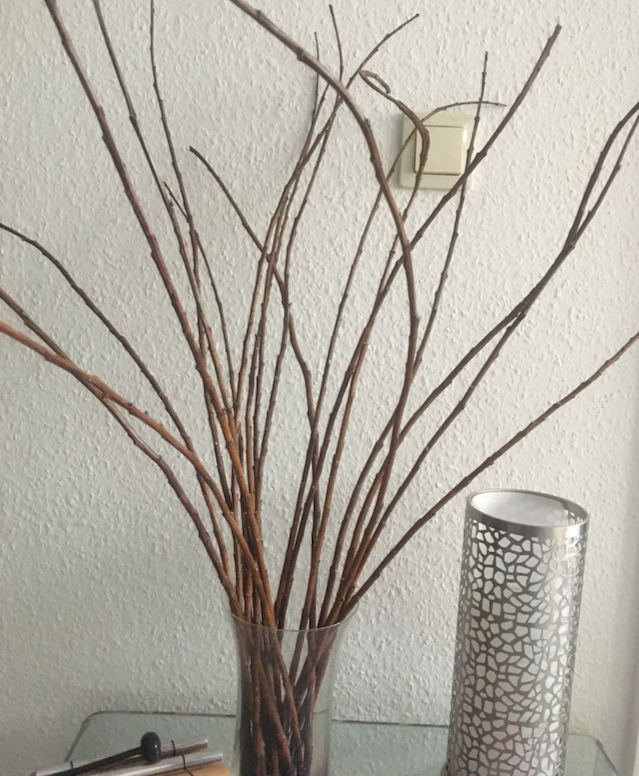 Weidenkätzchen-Zweige in der Glasvase u